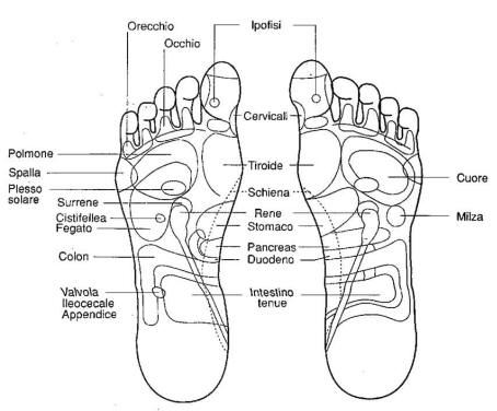 Mappa reflessologia del piede